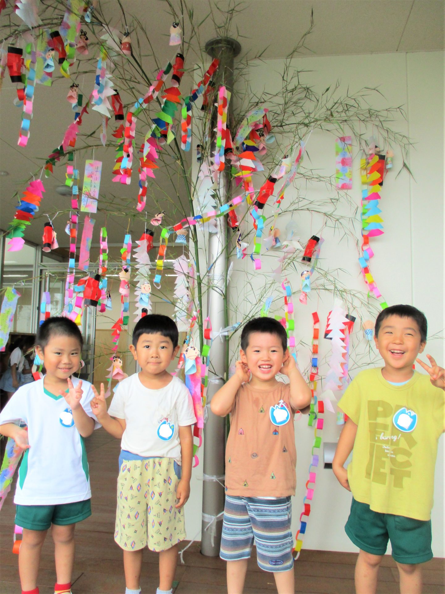 園の日常 ４歳児 あじさい組 七夕飾りを作りました すくすくと 芽を出して たくましく 学校法人中国学園 中国学園大学 中国短期大学附属 たねのくにこども園